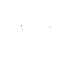 Audit team